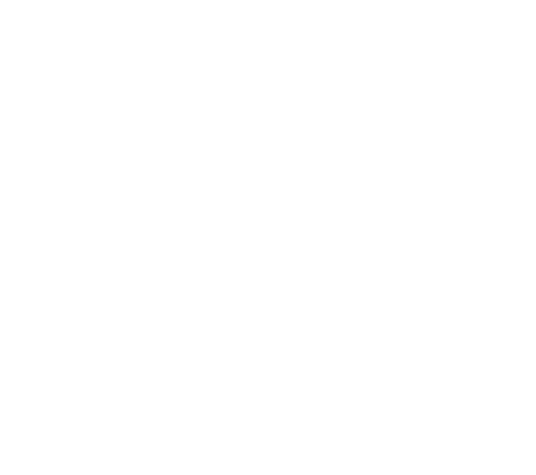 Adobe Logo